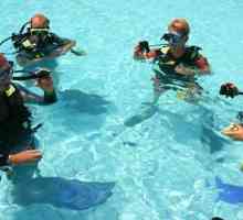 Як вибрати інструктора для підводного плавання