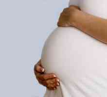 Як вибрати якісні колготки для вагітних
