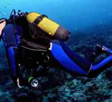 Як вибрати костюм для підводного плавання