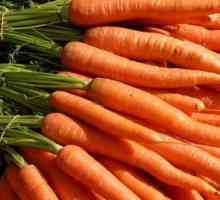 Як вибрати морква