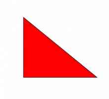 Як виглядають прямокутні трикутники