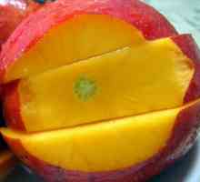 Як виростити домашнє манго