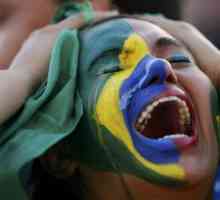 Як виступила бразилія на чм по футболу 2014