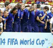 Як виступила команда нідерландів на чм 2014 з футболу в бразилии