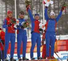 Як виступила російська збірна на олімпіаді 2006 року в турині