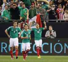 Як виступила збірна мексики на чм 2014 з футболу