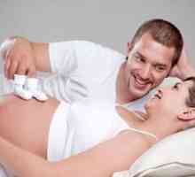 Як витерпіти вагітність дружини?
