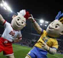Які матчі євро 2012 пройдуть на україні