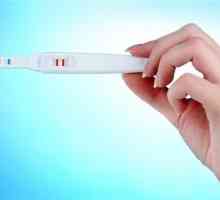 Які тести на вагітність найточніший