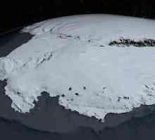 Які типи льоду існують в антарктиді