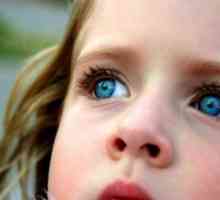 Який колір очей буде у вашої дитини?
