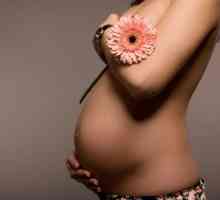 Який крем позбавить від розтяжок під час вагітності