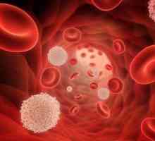 Яка норма лімфоцитів в крові