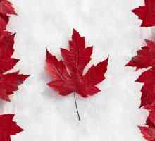 Коли вперше на канадському прапорі з`явився кленовий лист