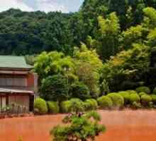 Кривавий ставок в японії
