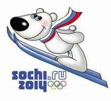 Медальні перспективи збірної росії на олімпіаді в сочи