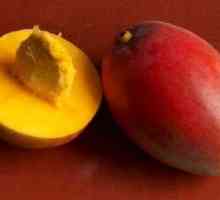 Чи можна посадити кісточку манго
