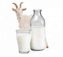 Наскільки корисно козяче молоко при атопічний дерматит