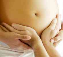Від чого залежить розмір живота при вагітності?