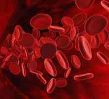 Чому може підвищитися кількість лейкоцитів в крові