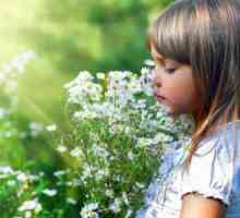 Чому діти - це квіти життя?