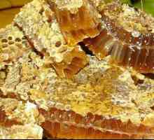 Чому в москві скасовують ярмарки меду