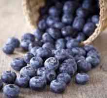 Корисні властивості лохини. Унікальна синя ягода для вашого здоров`я