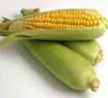 Корисні властивості кукурудзяної муки