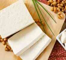 Корисні властивості сиру тофу