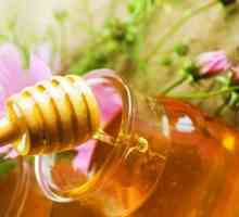 Користь меду при різних хворобах