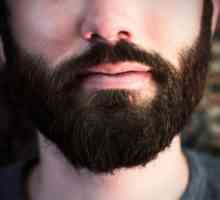 Психологія бороди: 4 факти про волосся на обличчі