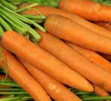 Скільки калорій в моркви
