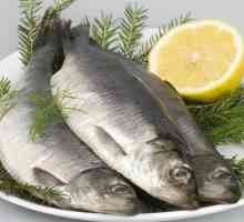 Скільки калорій в різних сортах риби