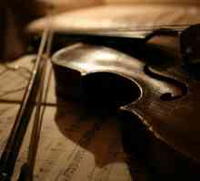 Скрипка як музичний інструмент