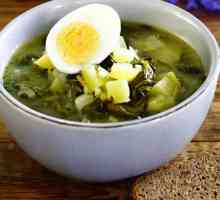 Супи зі свіжої зелені: зелений борщ