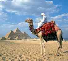 Тури в єгипет: чи варто купувати заздалегідь