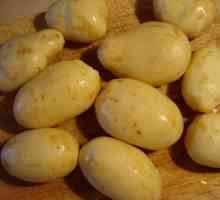 Тушкована картопля: як готувати смачно
