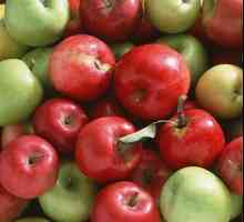 В якій країні ростуть найкрасивіші і смачні яблука
