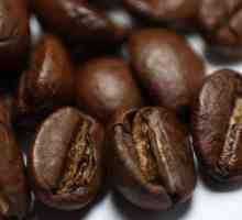 Все про каву: що таке арабіка