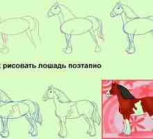 Все про коней: як малювати
