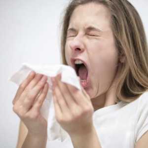 Алергічне чхання - небезпечно воно для оточуючих