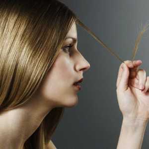 Чим підживити сухі кінчики волосся