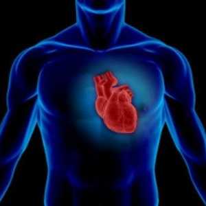 Що являє собою клапан серця