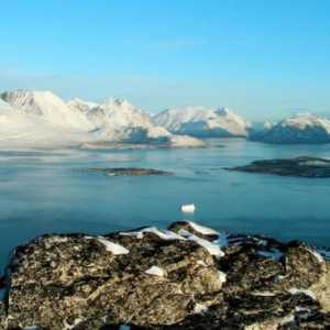 Що сталося з льодовою кіркою в гренландії