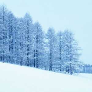 Що таке снігопад як явище природи