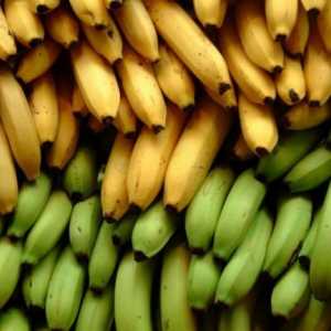 Де ростуть банани