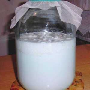 Як готувати молочний гриб