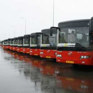 Як ходять автобуси до єкатеринбурга
