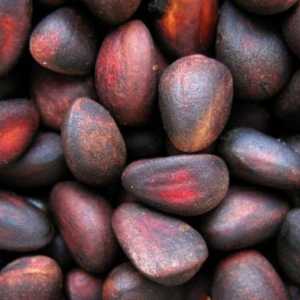 Як зберігати кедрові горіхи