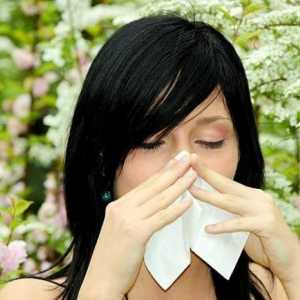 Як і коли проявляється алергія на цвітіння